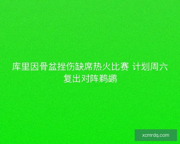 库里因骨盆挫伤缺席热火比赛 计划周六复出对阵鹈鹕